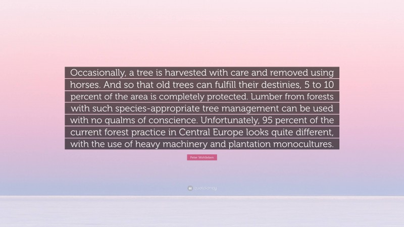 Peter Wohlleben Quote: “Occasionally, a tree is harvested with care and removed using horses. And so that old trees can fulfill their destinies, 5 to 10 percent of the area is completely protected. Lumber from forests with such species-appropriate tree management can be used with no qualms of conscience. Unfortunately, 95 percent of the current forest practice in Central Europe looks quite different, with the use of heavy machinery and plantation monocultures.”