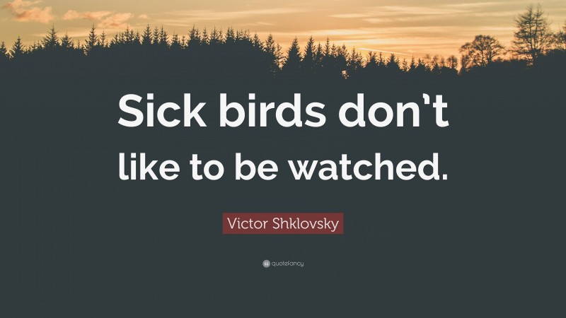 Victor Shklovsky Quote: “Sick birds don’t like to be watched.”