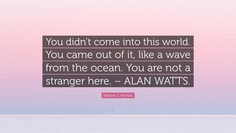 Wallace J. Nichols Quote: “You didn’t come into this world. You came out of it, like a wave from the ocean. You are not a stranger here. – ALAN WATTS.”