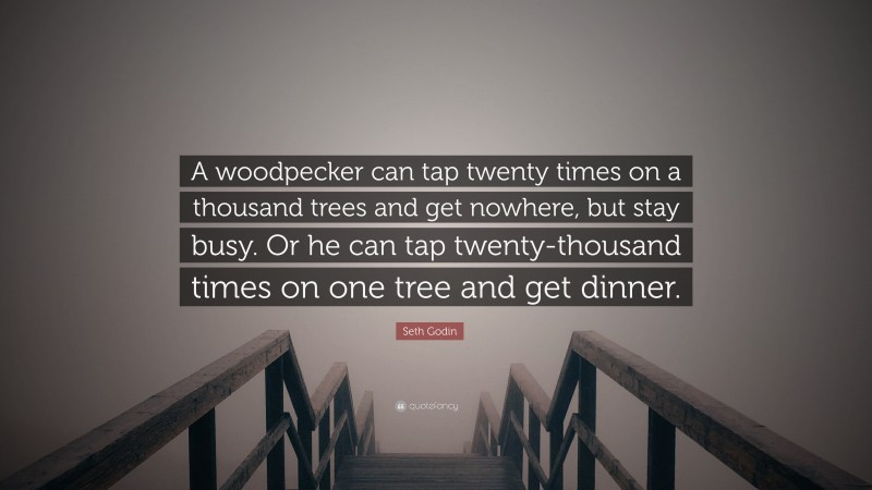 Seth Godin Quote: “A woodpecker can tap twenty times on a thousand trees and get nowhere, but stay busy. Or he can tap twenty-thousand times on one tree and get dinner.”