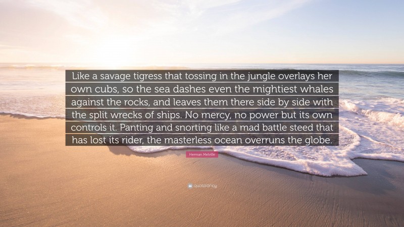 Herman Melville Quote: “Like a savage tigress that tossing in the jungle overlays her own cubs, so the sea dashes even the mightiest whales against the rocks, and leaves them there side by side with the split wrecks of ships. No mercy, no power but its own controls it. Panting and snorting like a mad battle steed that has lost its rider, the masterless ocean overruns the globe.”