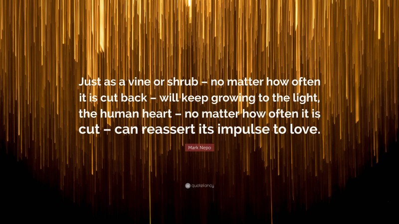 Mark Nepo Quote: “Just as a vine or shrub – no matter how often it is cut back – will keep growing to the light, the human heart – no matter how often it is cut – can reassert its impulse to love.”