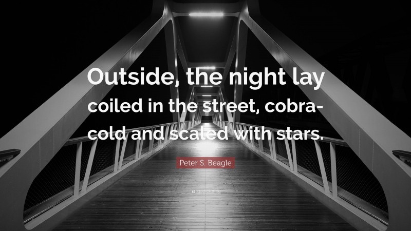 Peter S. Beagle Quote: “Outside, the night lay coiled in the street, cobra-cold and scaled with stars.”