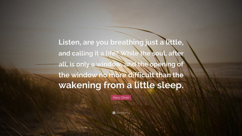 Mary Oliver Quote: “Listen, are you breathing just a little, and calling it a life? While the soul, after all, is only a window, and the opening of the window no more difficult than the wakening from a little sleep.”