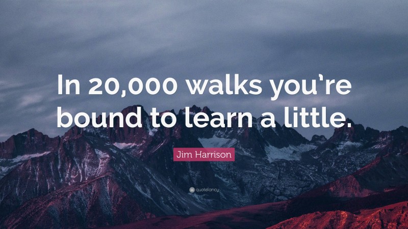 Jim Harrison Quote: “In 20,000 walks you’re bound to learn a little.”