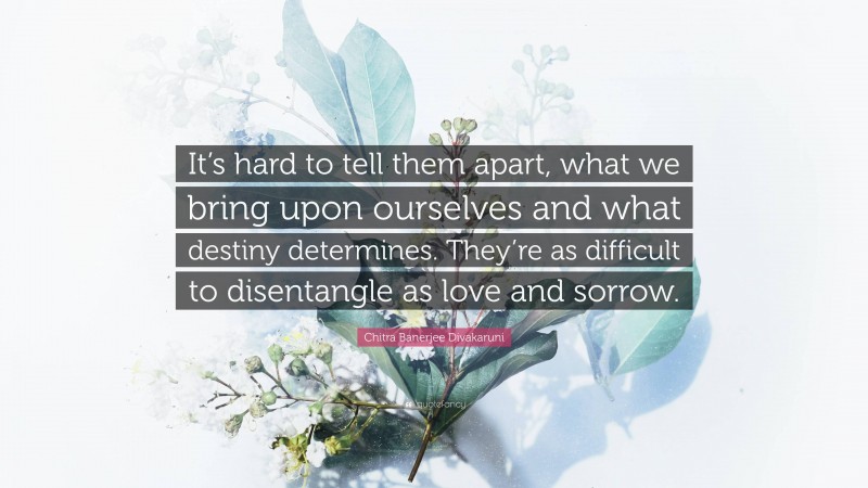 Chitra Banerjee Divakaruni Quote: “It’s hard to tell them apart, what we bring upon ourselves and what destiny determines. They’re as difficult to disentangle as love and sorrow.”