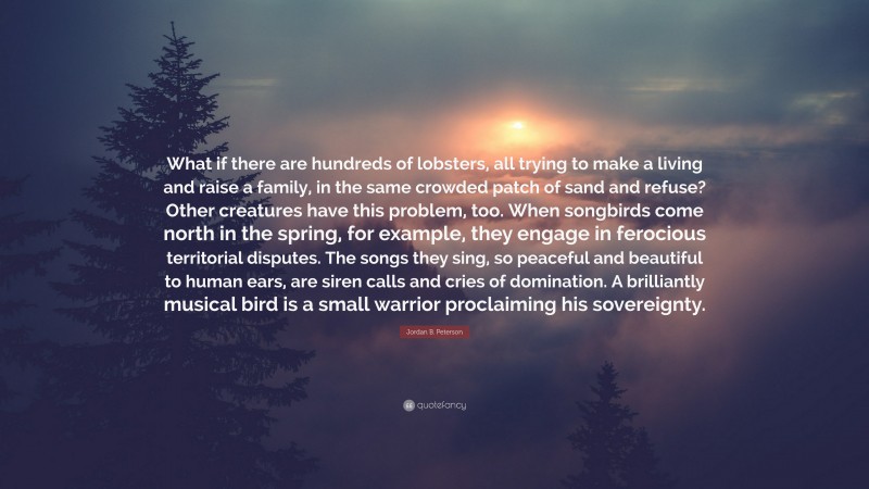 Jordan B. Peterson Quote: “What if there are hundreds of lobsters, all trying to make a living and raise a family, in the same crowded patch of sand and refuse? Other creatures have this problem, too. When songbirds come north in the spring, for example, they engage in ferocious territorial disputes. The songs they sing, so peaceful and beautiful to human ears, are siren calls and cries of domination. A brilliantly musical bird is a small warrior proclaiming his sovereignty.”