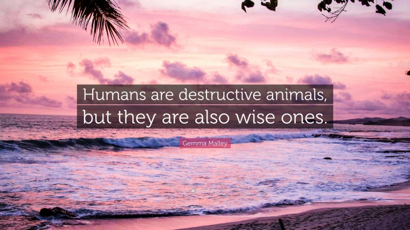 Gemma Malley Quote: “Humans are destructive animals, but they are also wise ones.”