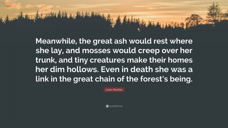 Juliet Marillier Quote: “Meanwhile, the great ash would rest where she lay, and mosses would creep over her trunk, and tiny creatures make their homes her dim hollows. Even in death she was a link in the great chain of the forest’s being.”