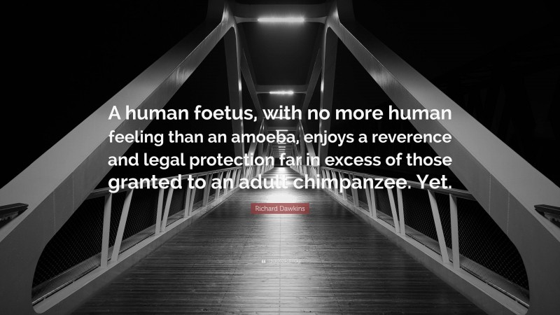 Richard Dawkins Quote: “A human foetus, with no more human feeling than an amoeba, enjoys a reverence and legal protection far in excess of those granted to an adult chimpanzee. Yet.”