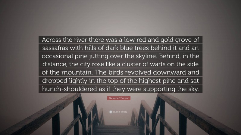 Flannery O'Connor Quote: “Across the river there was a low red and gold grove of sassafras with hills of dark blue trees behind it and an occasional pine jutting over the skyline. Behind, in the distance, the city rose like a cluster of warts on the side of the mountain. The birds revolved downward and dropped lightly in the top of the highest pine and sat hunch-shouldered as if they were supporting the sky.”