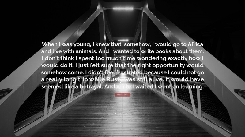 Jane Goodall Quote: “When I was young, I knew that, somehow, I would go to Africa and live with animals. And I wanted to write books about them. I don’t think I spent too much time wondering exactly how I would do it. I just felt sure that the right opportunity would somehow come. I didn’t feel frustrated because I could not go a really long trip while Rusty was still alive. It would have seemed like a betrayal. And while I waited I went on learning.”