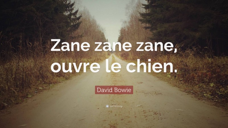 David Bowie Quote: “Zane zane zane, ouvre le chien.”