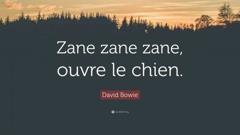 David Bowie Quote: “Zane zane zane, ouvre le chien.”