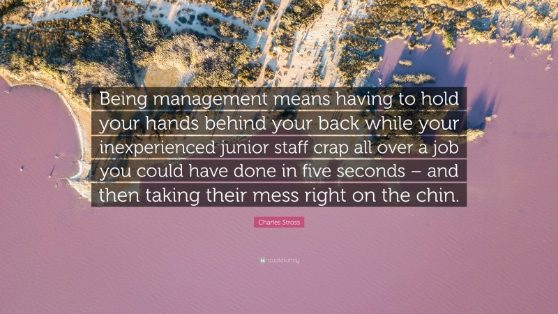 Charles Stross Quote: “Being management means having to hold your hands behind your back while your inexperienced junior staff crap all over a job you could have done in five seconds – and then taking their mess right on the chin.”