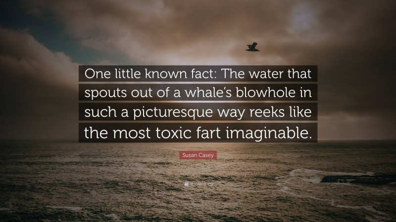 Susan Casey Quote: “One little known fact: The water that spouts out of a whale’s blowhole in such a picturesque way reeks like the most toxic fart imaginable.”