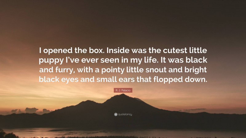 R. J. Palacio Quote: “I opened the box. Inside was the cutest little puppy I’ve ever seen in my life. It was black and furry, with a pointy little snout and bright black eyes and small ears that flopped down.”