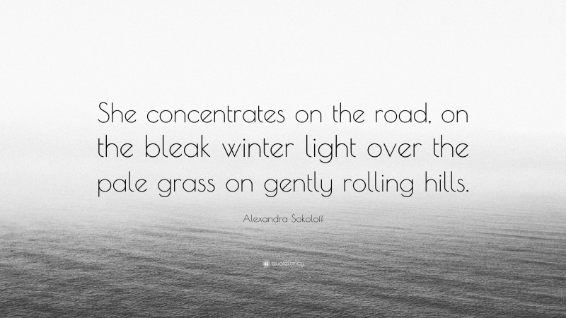 Alexandra Sokoloff Quote: “She concentrates on the road, on the bleak winter light over the pale grass on gently rolling hills.”