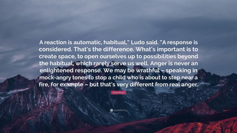 David Michie Quote: “A reaction is automatic, habitual,” Ludo said. “A response is considered. That’s the difference. What’s important is to create space, to open ourselves up to possibilities beyond the habitual, which rarely serve us well. Anger is never an enlightened response. We may be wrathful – speaking in mock-angry tones to stop a child who is about to step near a fire, for example – but that’s very different from real anger.”