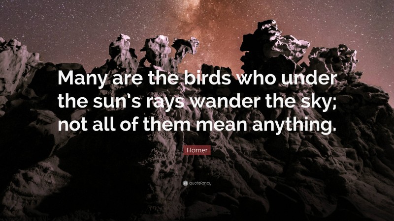 Homer Quote: “Many are the birds who under the sun’s rays wander the sky; not all of them mean anything.”