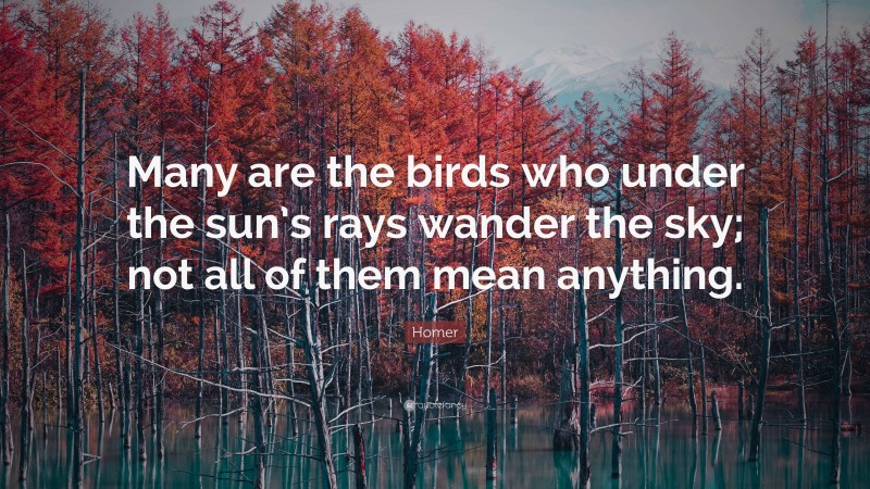 Homer Quote: “Many are the birds who under the sun’s rays wander the sky; not all of them mean anything.”