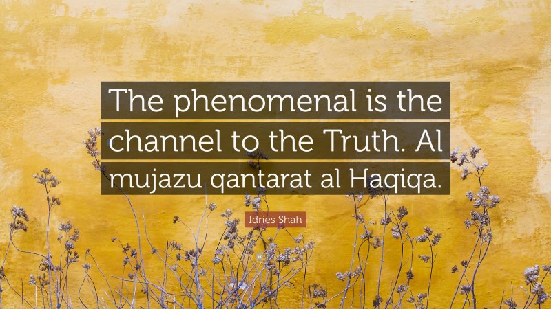 Idries Shah Quote: “The phenomenal is the channel to the Truth. Al mujazu qantarat al Haqiqa.”