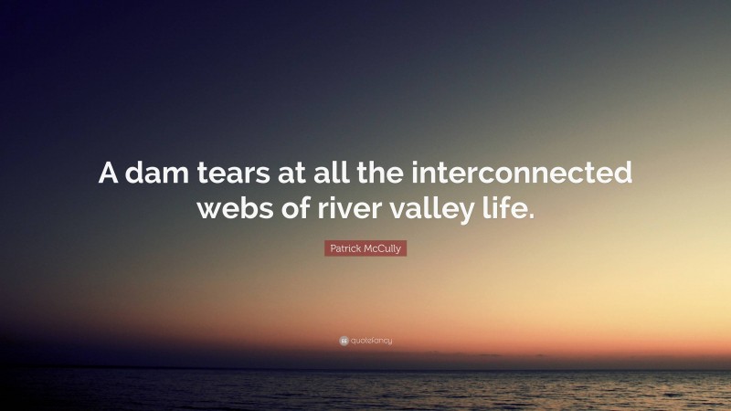 Patrick McCully Quote: “A dam tears at all the interconnected webs of river valley life.”