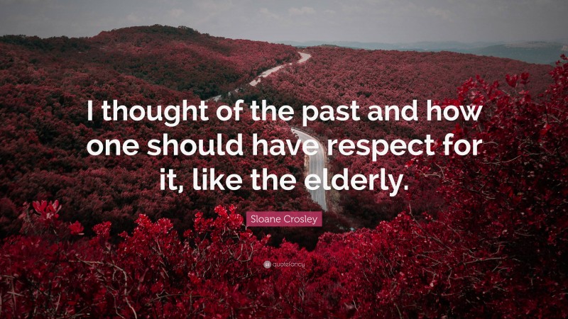 Sloane Crosley Quote: “I thought of the past and how one should have respect for it, like the elderly.”