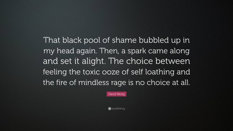 David Wong Quote: “That black pool of shame bubbled up in my head again. Then, a spark came along and set it alight. The choice between feeling the toxic ooze of self loathing and the fire of mindless rage is no choice at all.”