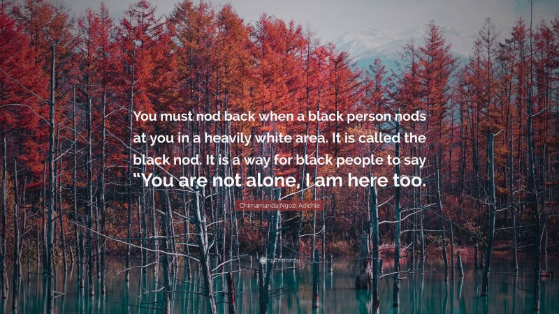 Chimamanda Ngozi Adichie Quote: “You must nod back when a black person nods at you in a heavily white area. It is called the black nod. It is a way for black people to say “You are not alone, I am here too.”