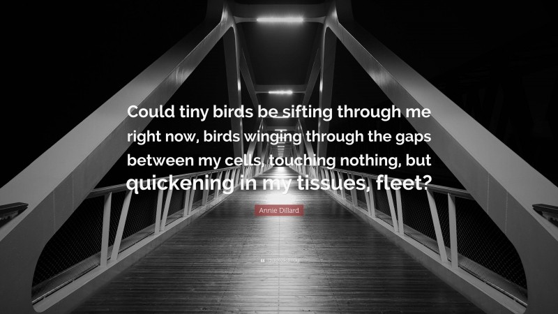 Annie Dillard Quote: “Could tiny birds be sifting through me right now, birds winging through the gaps between my cells, touching nothing, but quickening in my tissues, fleet?”