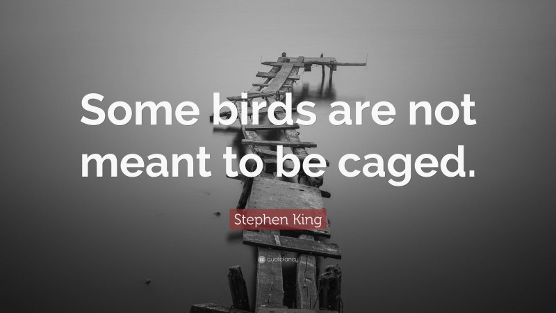 Stephen King Quote: “Some birds are not meant to be caged.”