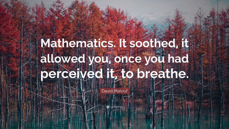 David Malouf Quote: “Mathematics. It soothed, it allowed you, once you had perceived it, to breathe.”