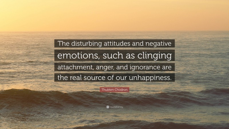Thubten Chodron Quote: “The disturbing attitudes and negative emotions, such as clinging attachment, anger, and ignorance are the real source of our unhappiness.”