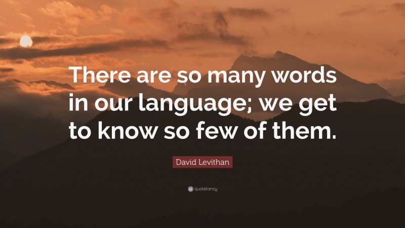 David Levithan Quote: “There are so many words in our language; we get to know so few of them.”