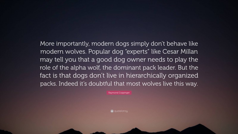 Raymond Coppinger Quote: “More importantly, modern dogs simply don’t behave like modern wolves. Popular dog “experts” like Cesar Millan may tell you that a good dog owner needs to play the role of the alpha wolf, the dominant pack leader. But the fact is that dogs don’t live in hierarchically organized packs. Indeed it’s doubtful that most wolves live this way.”