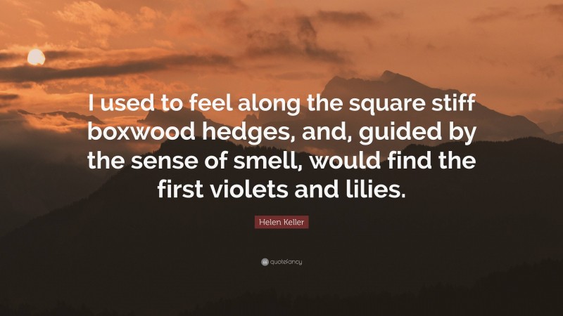 Helen Keller Quote: “I used to feel along the square stiff boxwood hedges, and, guided by the sense of smell, would find the first violets and lilies.”