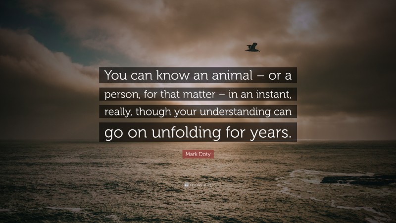 Mark Doty Quote: “You can know an animal – or a person, for that matter – in an instant, really, though your understanding can go on unfolding for years.”