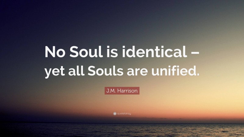 J.M. Harrison Quote: “No Soul is identical – yet all Souls are unified.”