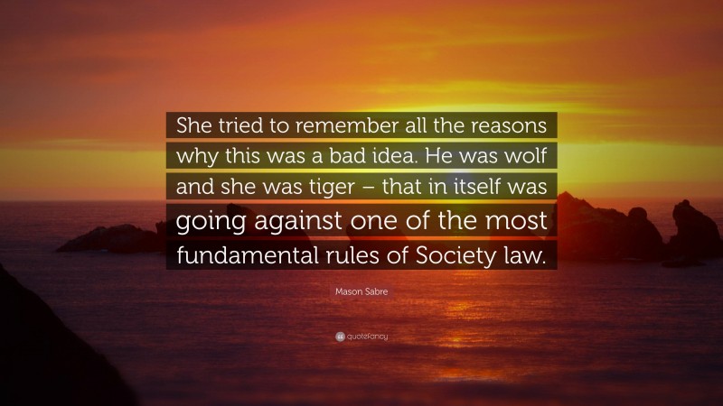 Mason Sabre Quote: “She tried to remember all the reasons why this was a bad idea. He was wolf and she was tiger – that in itself was going against one of the most fundamental rules of Society law.”