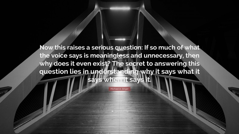 Michael A. Singer Quote: “Now this raises a serious question: If so much of what the voice says is meaningless and unnecessary, then why does it even exist? The secret to answering this question lies in understanding why it says what it says when it says it.”