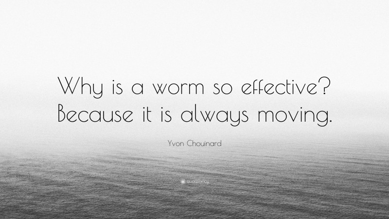 Yvon Chouinard Quote: “Why is a worm so effective? Because it is always moving.”