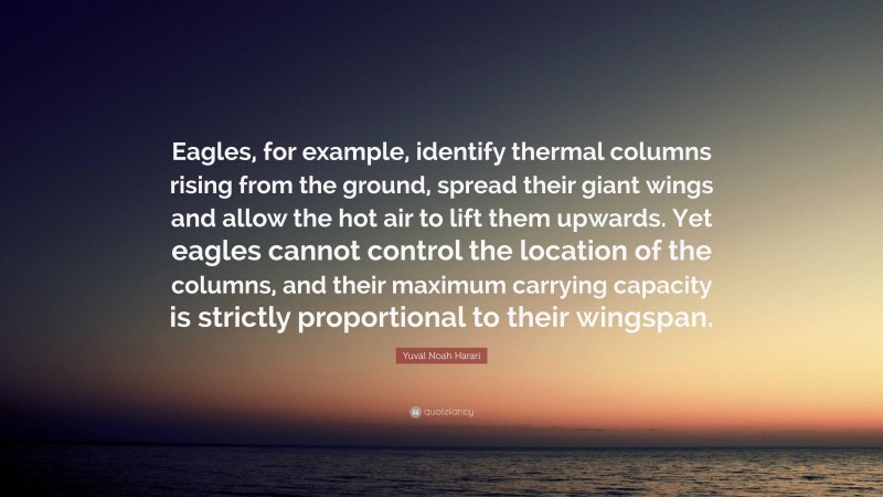 Yuval Noah Harari Quote: “Eagles, for example, identify thermal columns rising from the ground, spread their giant wings and allow the hot air to lift them upwards. Yet eagles cannot control the location of the columns, and their maximum carrying capacity is strictly proportional to their wingspan.”