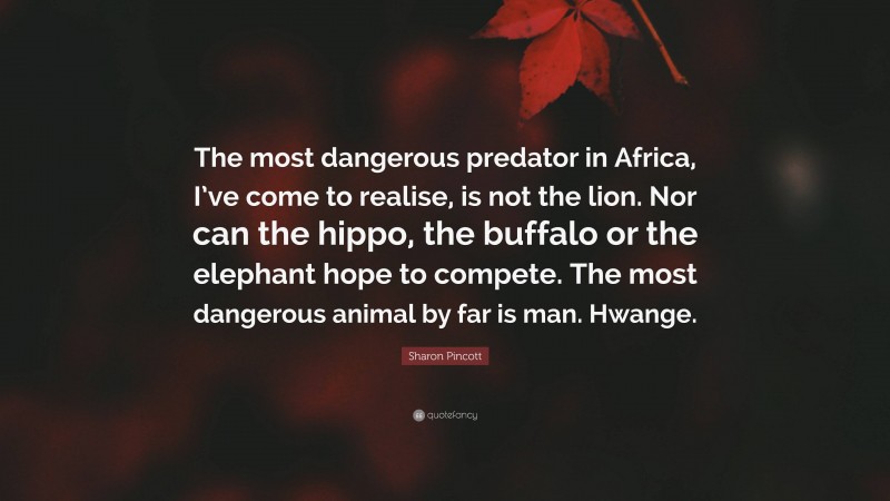 Sharon Pincott Quote: “The most dangerous predator in Africa, I’ve come to realise, is not the lion. Nor can the hippo, the buffalo or the elephant hope to compete. The most dangerous animal by far is man. Hwange.”
