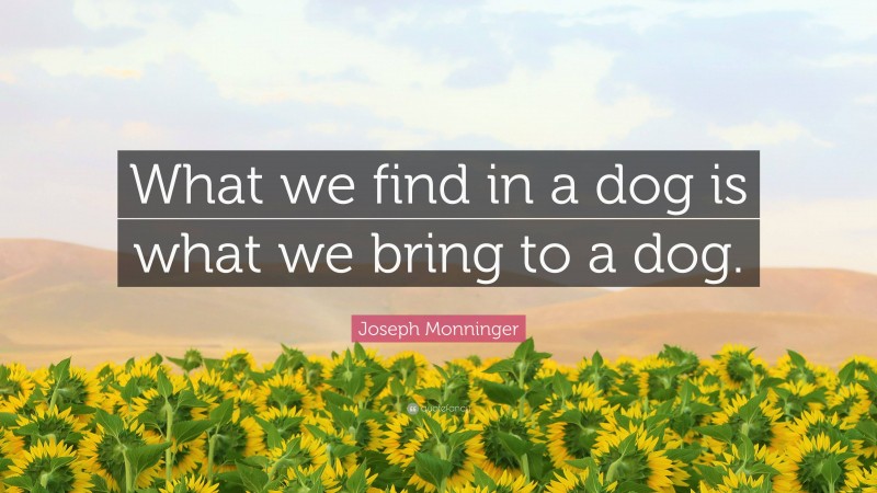 Joseph Monninger Quote: “What we find in a dog is what we bring to a dog.”