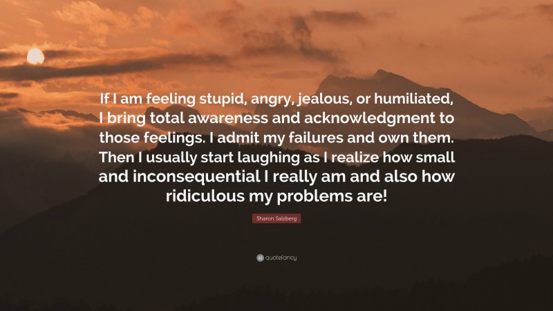 Sharon Salzberg Quote: “If I am feeling stupid, angry, jealous, or humiliated, I bring total awareness and acknowledgment to those feelings. I admit my failures and own them. Then I usually start laughing as I realize how small and inconsequential I really am and also how ridiculous my problems are!”