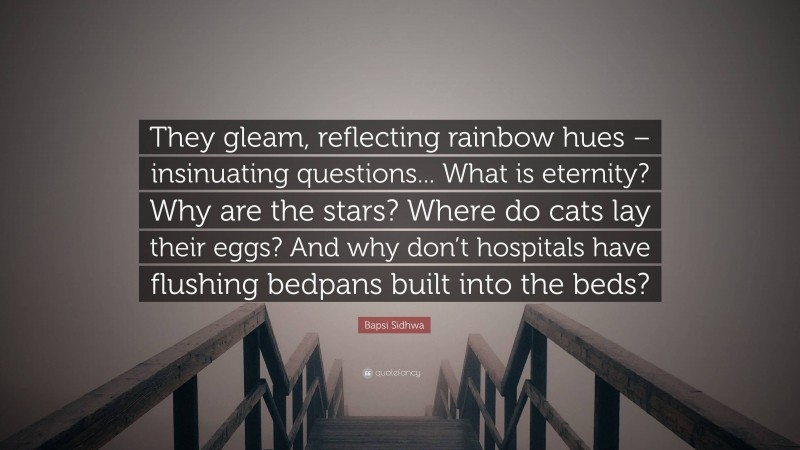 Bapsi Sidhwa Quote: “They gleam, reflecting rainbow hues – insinuating questions... What is eternity? Why are the stars? Where do cats lay their eggs? And why don’t hospitals have flushing bedpans built into the beds?”