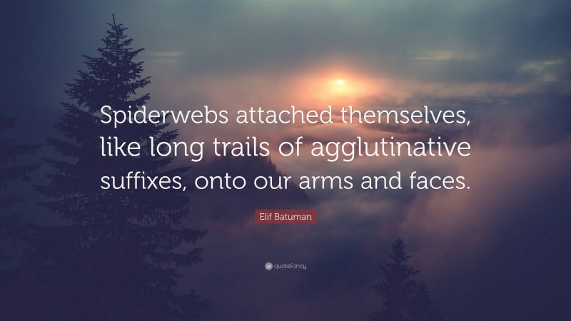 Elif Batuman Quote: “Spiderwebs attached themselves, like long trails of agglutinative suffixes, onto our arms and faces.”