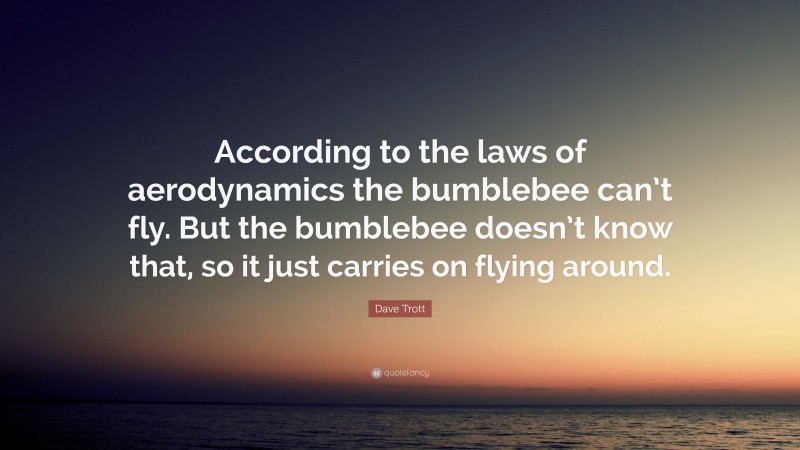 Dave Trott Quote: “According to the laws of aerodynamics the bumblebee can’t fly. But the bumblebee doesn’t know that, so it just carries on flying around.”