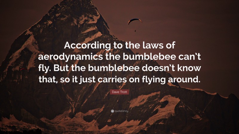 Dave Trott Quote: “According to the laws of aerodynamics the bumblebee can’t fly. But the bumblebee doesn’t know that, so it just carries on flying around.”